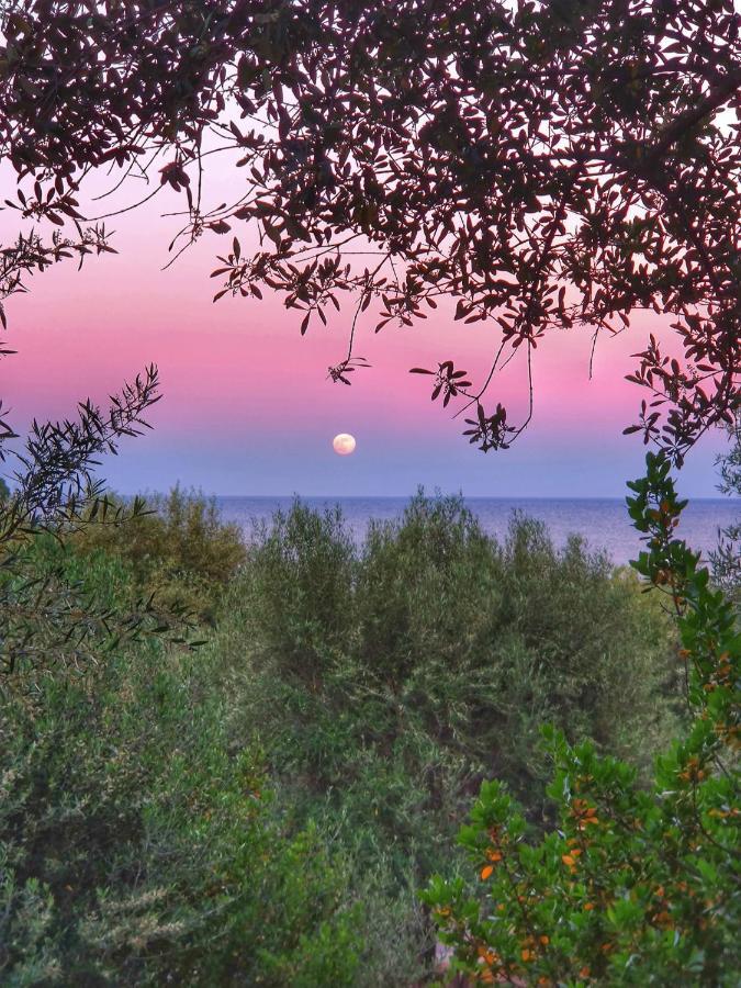 porto frailis Arbatax casa vista mare Villa Esterno foto